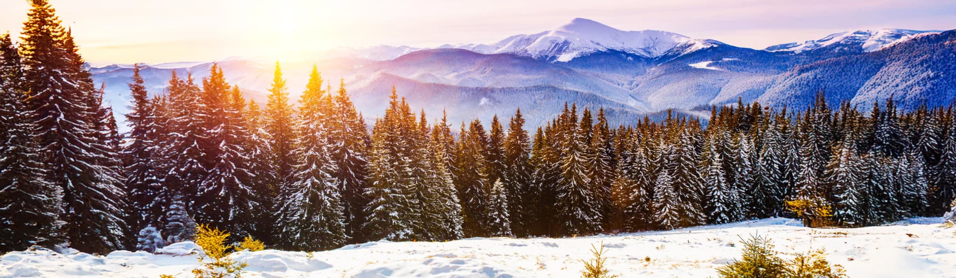 Best East Coast ski resorts 2025/26 season comparison - top 5 ranked destinations including Stowe Vermont Epic Pass resort, Killington Beast of the East with longest season, Whiteface Mountain New York highest vertical drop 3,430 ft, Sunday River Maine Mountain Collective, Snowshoe West Virginia Ikon Pass budget skiing, expert terrain groomed trails family-friendly slopes