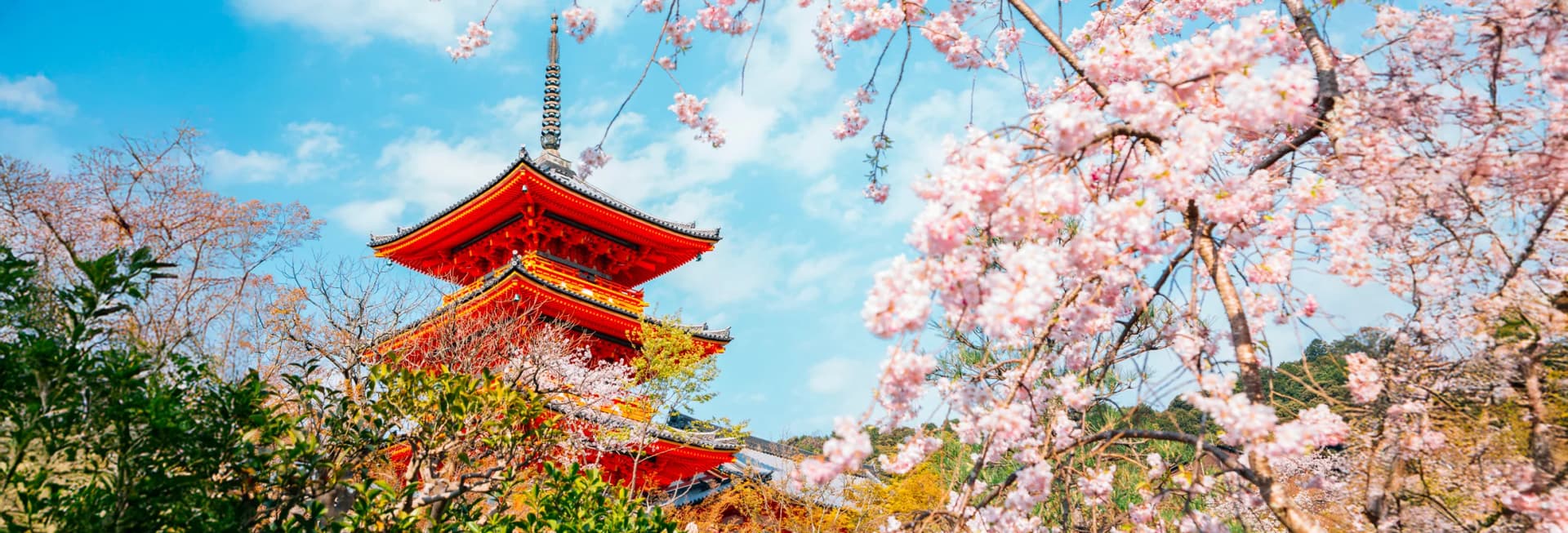 Kyoto Japan in November 2025 - peak fall foliage season with vibrant autumn colors at Kiyomizu-dera Temple, Arashiyama bamboo grove, traditional geisha district in Gion, and evening illuminations at historic shrines best time to visit