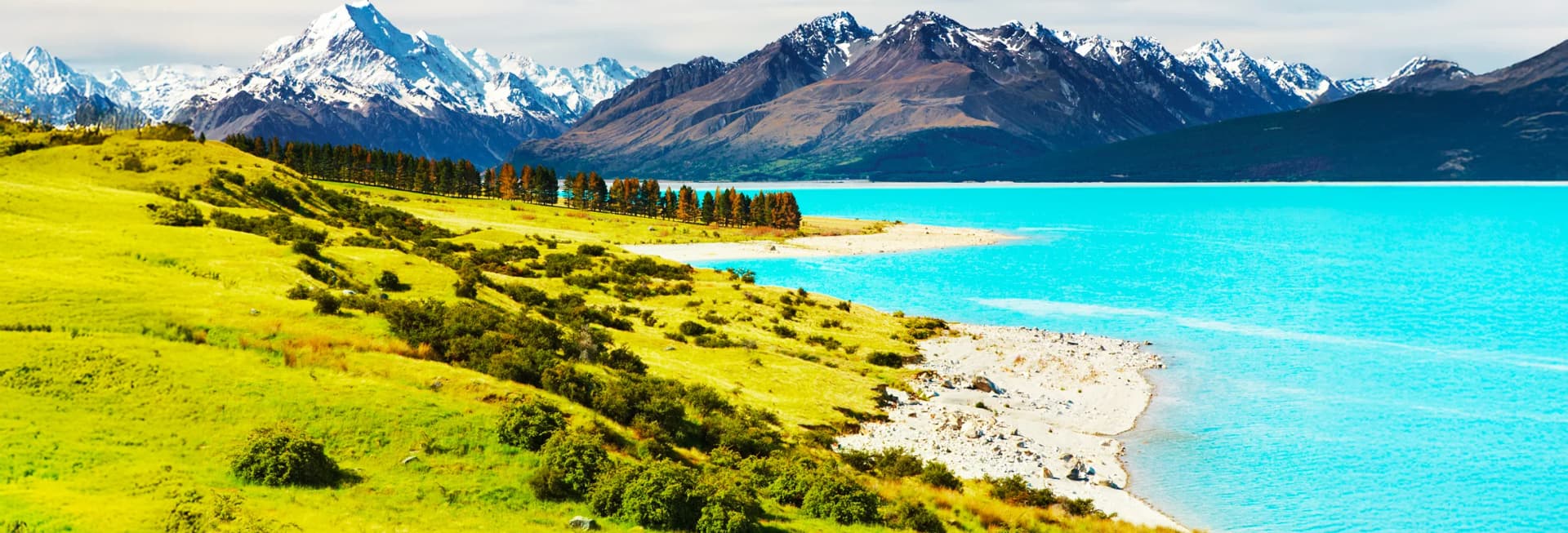 New Zealand in November 2025 - spectacular spring lupin blooms at Lake Tekapo and Lake Pukaki, Milford Sound fjords, Queenstown adventure activities, Mount Cook hiking trails, and wildflower carpets across South Island best time to visit