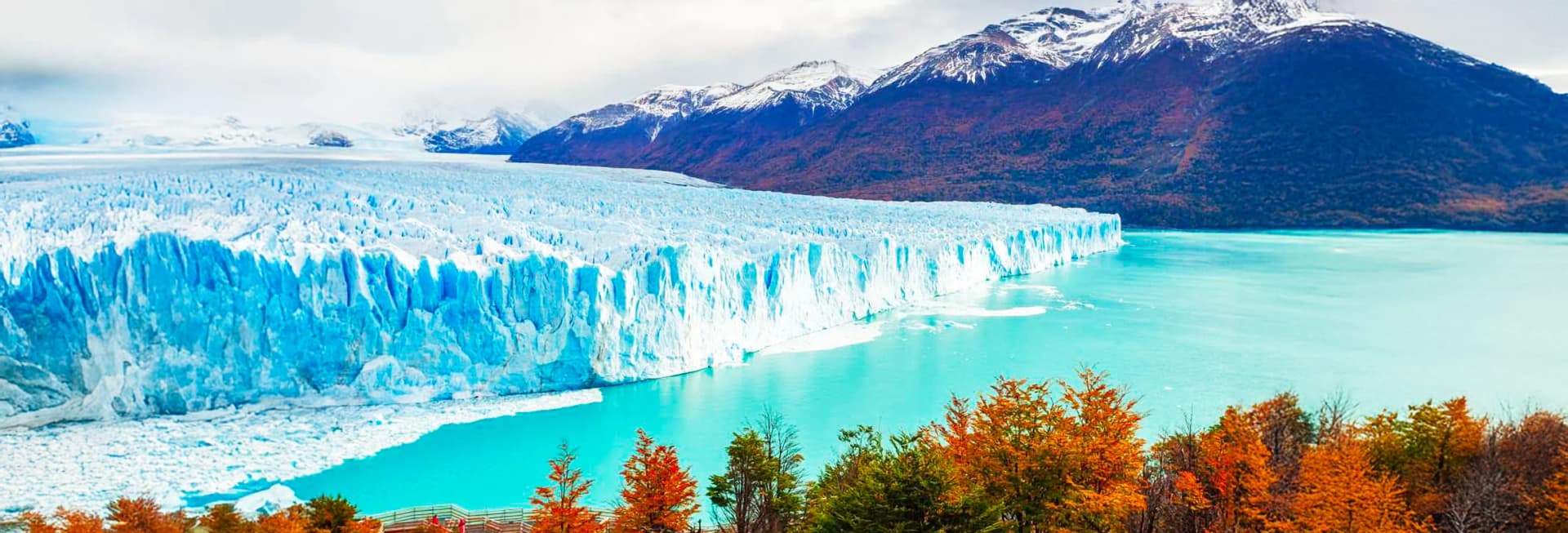 Patagonia Argentina in November 2025 - spring wildflowers blooming at Torres del Paine National Park with Perito Moreno Glacier, Fitz Roy mountain peaks, and hiking trails through El Chalten perfect for shoulder season travel