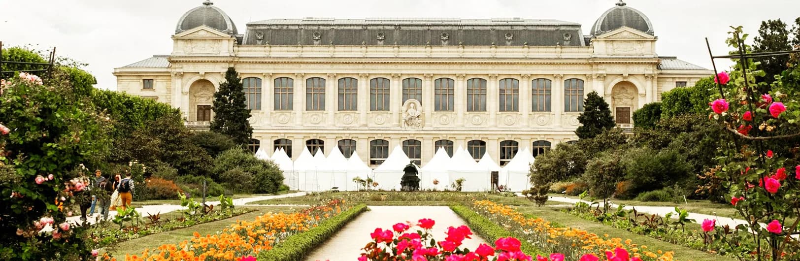 Latin Quarter Paris hotels - budget-friendly accommodations near Sorbonne, Panthéon, and Jardin des Plantes in historic 5th arrondissement