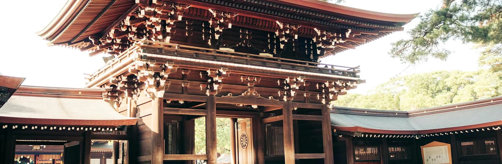 Shibuya Tokyo Japan 2025 - famous Scramble Crossing, Meiji Shrine, Hachiko statue, youth fashion and trendy hotels in Tokyo