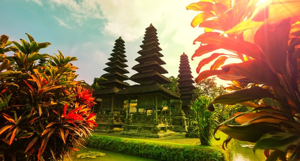 Tropical Bali paradise with lush rice terraces, ancient temples, pristine beaches and traditional Indonesian cultural landscapes