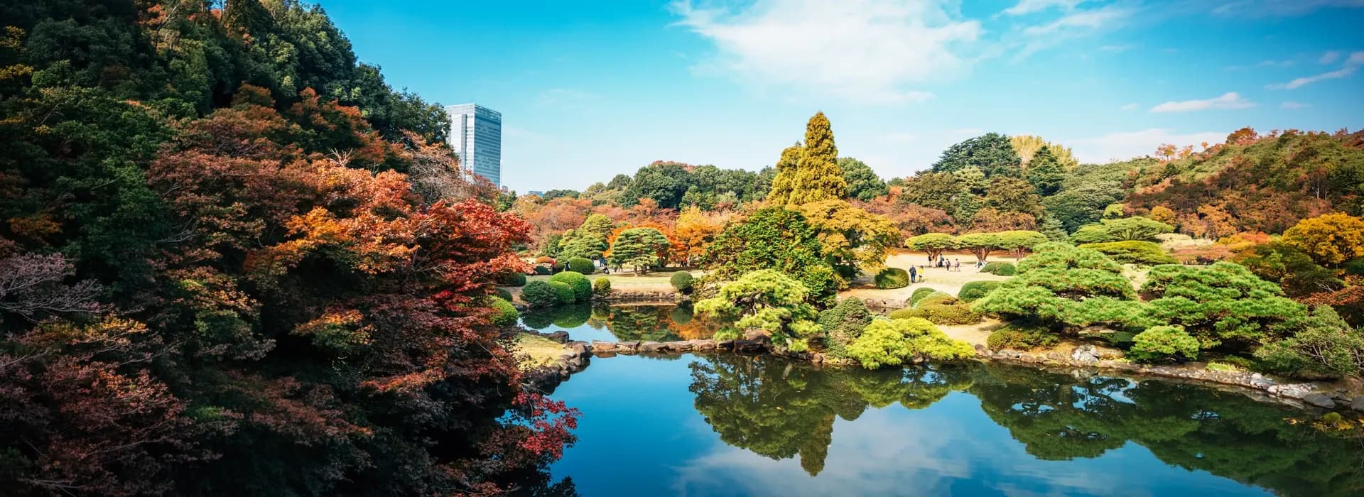 Shinjuku Gyoen National Garden area Tokyo 2026 - serene Japanese garden with autumn foliage and reflective pond, peaceful family-friendly neighborhood near budget apartment hotels perfect for families visiting Shinjuku with children